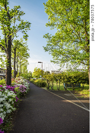 《愛知県》尾張広域緑道 《愛知県》尾張広域緑道 78037575