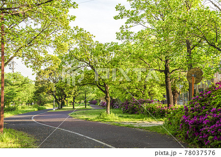 《愛知県》尾張広域緑道 《愛知県》尾張広域緑道 78037576