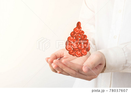 Blood donation. Human hands holding blood drop shape of red blood cells over white background. World blood donor day and save life concept. 78037607