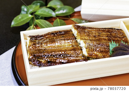 うなぎのテイクアウト弁当 78037720