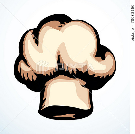 Vector drawing. Old chef hat 78038166