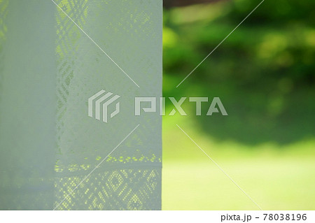 カーテンの向こうの芝の庭2 78038196