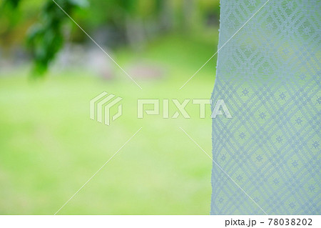 カーテンの向こうの芝の庭8 78038202