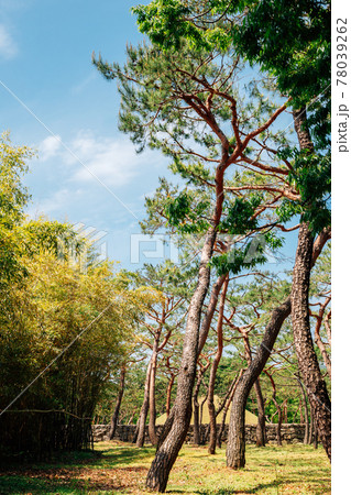 Royal Tomb of King Suro in Gimhae, Korea 78039262