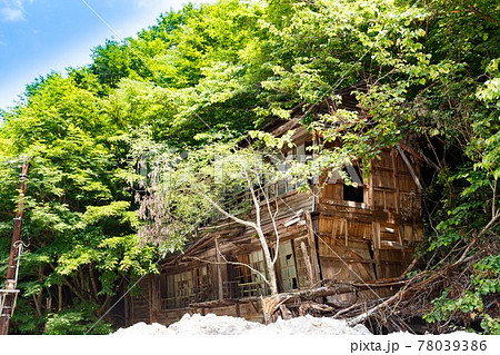 埼玉県　秩父鉱山　小倉沢集落　社宅の廃墟 78039386
