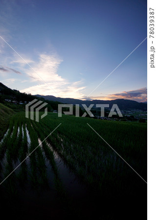 初夏の棚田の夕方（長野県） 78039387