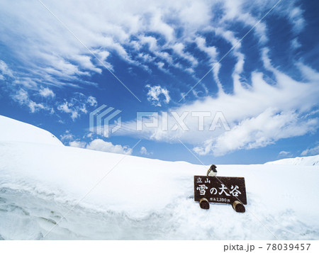 【富山】雪の大谷ウォーク 青空 【富山】雪の大谷ウォーク 青空 78039457