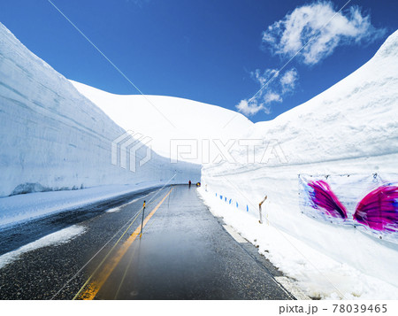 【富山】雪の大谷ウォーク 青空 78039465