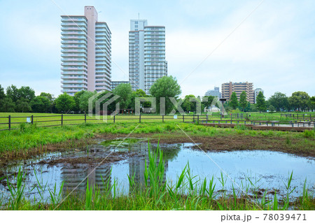 尾久の原公園の池と水面に映える景観 尾久の原公園の池と水面に映える景観 78039471