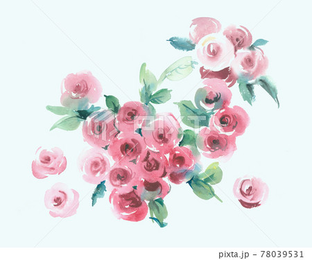 透明水彩 水彩画 花 78039531