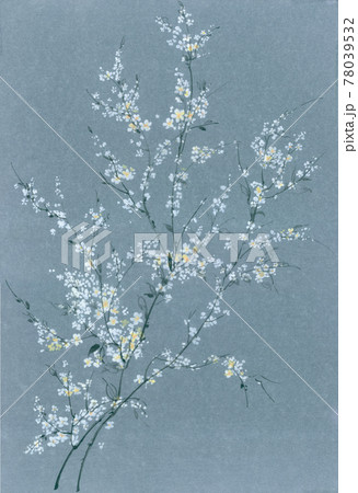 透明水彩 水彩画 花 78039532