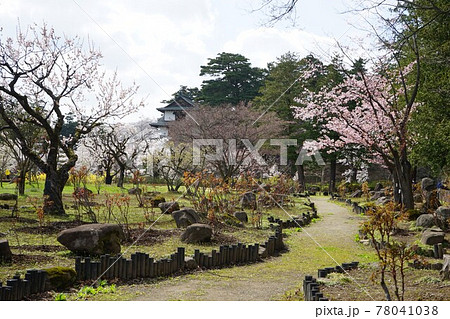 弘前公園の春 弘前城植物園 弘前公園の春 弘前城植物園 78041038