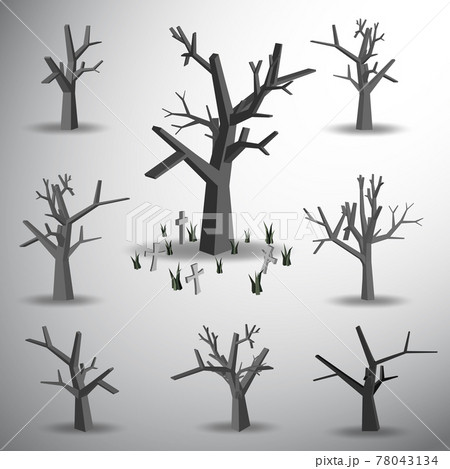 dead tree on grave yard 78043134