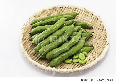 ざるに乗せた白バックのそら豆 78043434