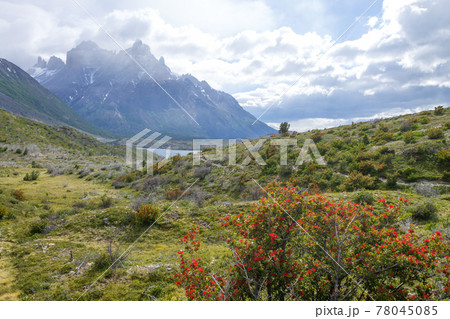 Lake Pehoe view, Torres del Paine, Chile 78045085