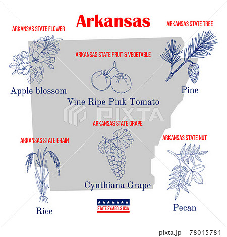 Arkansas. Set of USA official state symbols 78045784