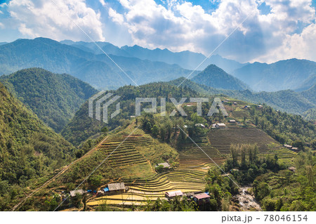 Terraced rice field in Sapa 78046154