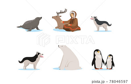 Female Eskimo Character in Traditional Clothing and Arctic Animals Vector Set 78046597