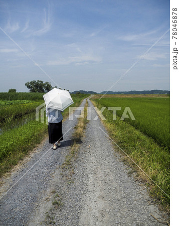 【女性】夏 日傘をさす女性 歩く ポーズ 【女性】夏 日傘をさす女性 歩く ポーズ 78046878