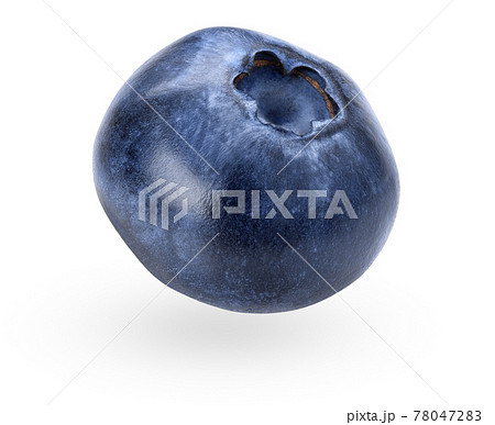 Blueberry isolated on white background. Falling or flying object. Clipping path. Macro view of billberry Blueberry isolated on white background. Falling or flying object. Clipping path. Macro view of billberry 78047283
