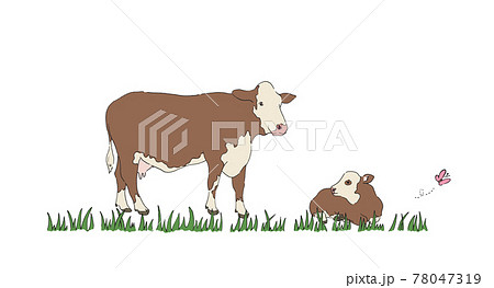 牧場にいる牛のイラスト 手描きの線画のイラスト素材