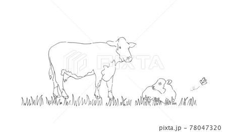 牧場にいる牛のイラスト 手描きの線画のイラスト素材