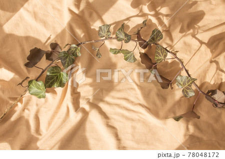 Beige installation - still life for blogger as beige background, modern art. Abstract with weaving ivy. Shadow and light on the folds of the fabric. Copy space, top view, flat lay Beige installation - still life for blogger as beige background, modern art. Abstract with weaving ivy. Shadow and light on the folds of the fabric. Copy space, top view, flat lay 78048172