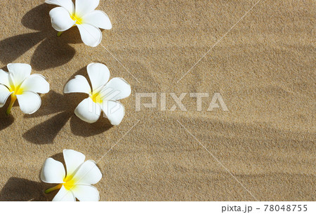 Plumeria flowers on sand beach. Summer background concept 78048755