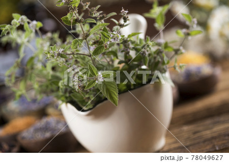 Natural remedy, mortar and herbs 78049627