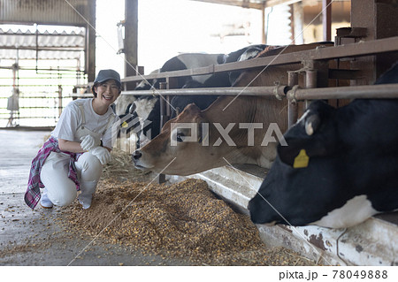 牧場で働く若い酪農家 牧場で働く若い酪農家 78049888