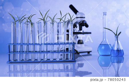 Chemical laboratory glassware, Genetically modified plant Chemical laboratory glassware, Genetically modified plant 78050243