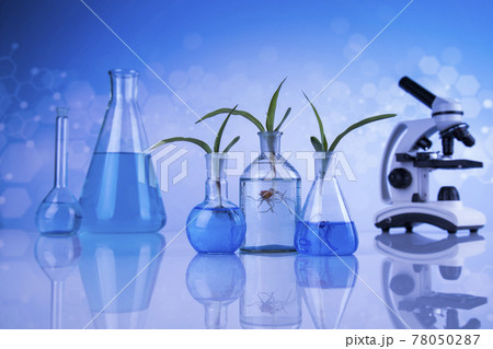 Microscope, Laboratory glassware, plant laboratory experimental Microscope, Laboratory glassware, plant laboratory experimental 78050287