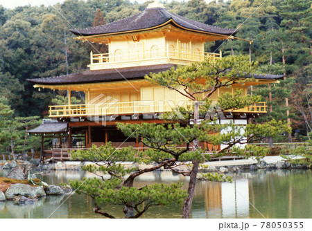 平成291 平成291 78050355