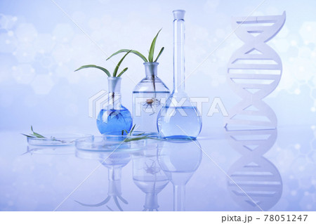 Chemical laboratory glassware, Genetically modified plant Chemical laboratory glassware, Genetically modified plant 78051247