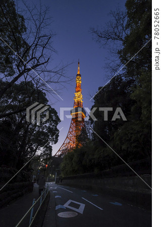 東京タワー　見上げる東京タワー　青空 78052665