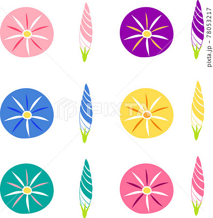 正面の朝顔の花と蕾のイラストアイコンセットのイラスト素材