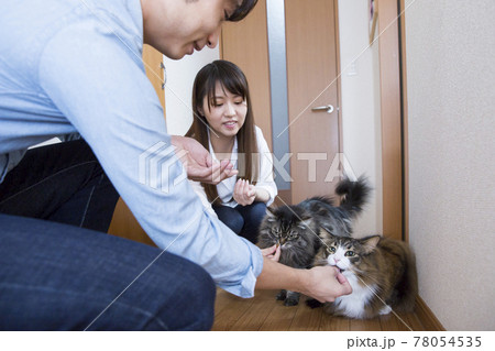 自宅でペットの猫を抱く日本人の若いカップル 78054535