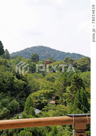 初夏の清水寺 初夏の清水寺 78054639