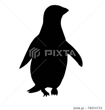 アデリーペンギンのシルエットイラストのイラスト素材