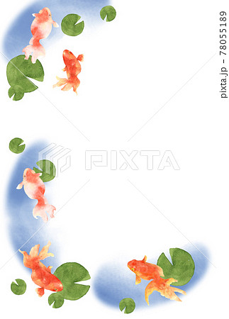 金魚とスイレンの葉の水彩画 はがきサイズ 金魚とスイレンの葉の水彩画 はがきサイズ 78055189