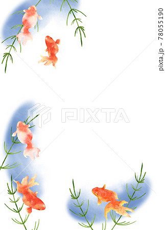 金魚と水草の水彩画 はがきサイズのイラスト素材