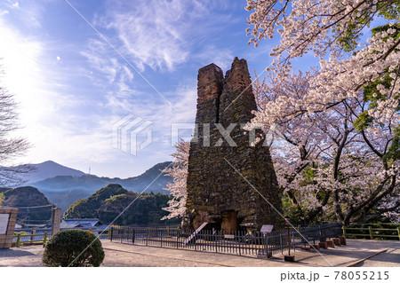 山口県萩市　満開の桜をバックの萩反射炉 78055215