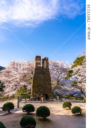 山口県萩市　満開の桜をバックの萩反射炉 78055216