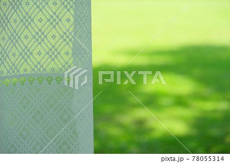 新緑のグリーンとレースのカーテン 78055314