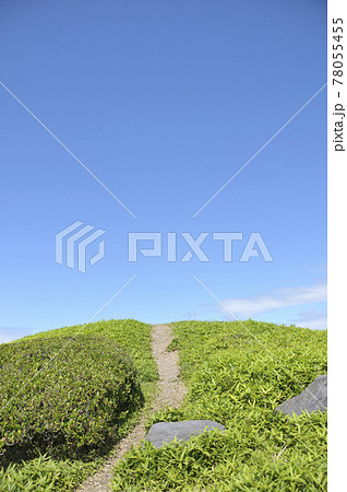 夏の風景 夏の風景 78055455