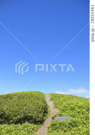 夏の風景 78055461
