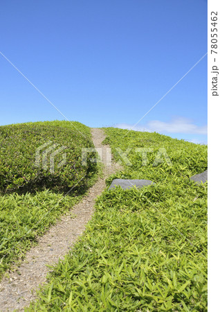 夏の風景 夏の風景 78055462