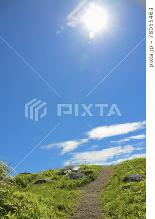 夏の風景 78055463