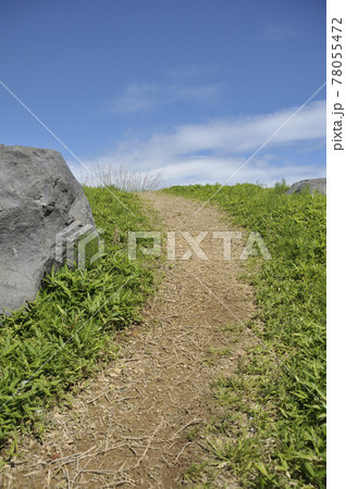 夏の風景 夏の風景 78055472