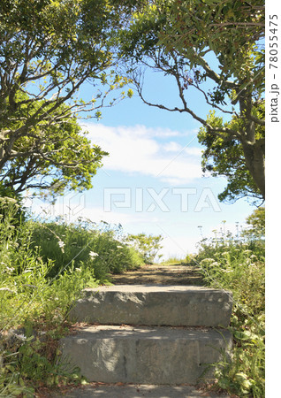 夏の風景 夏の風景 78055475